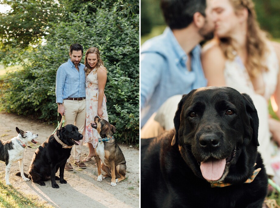 Boston-Engagement-Session-with-Dogs