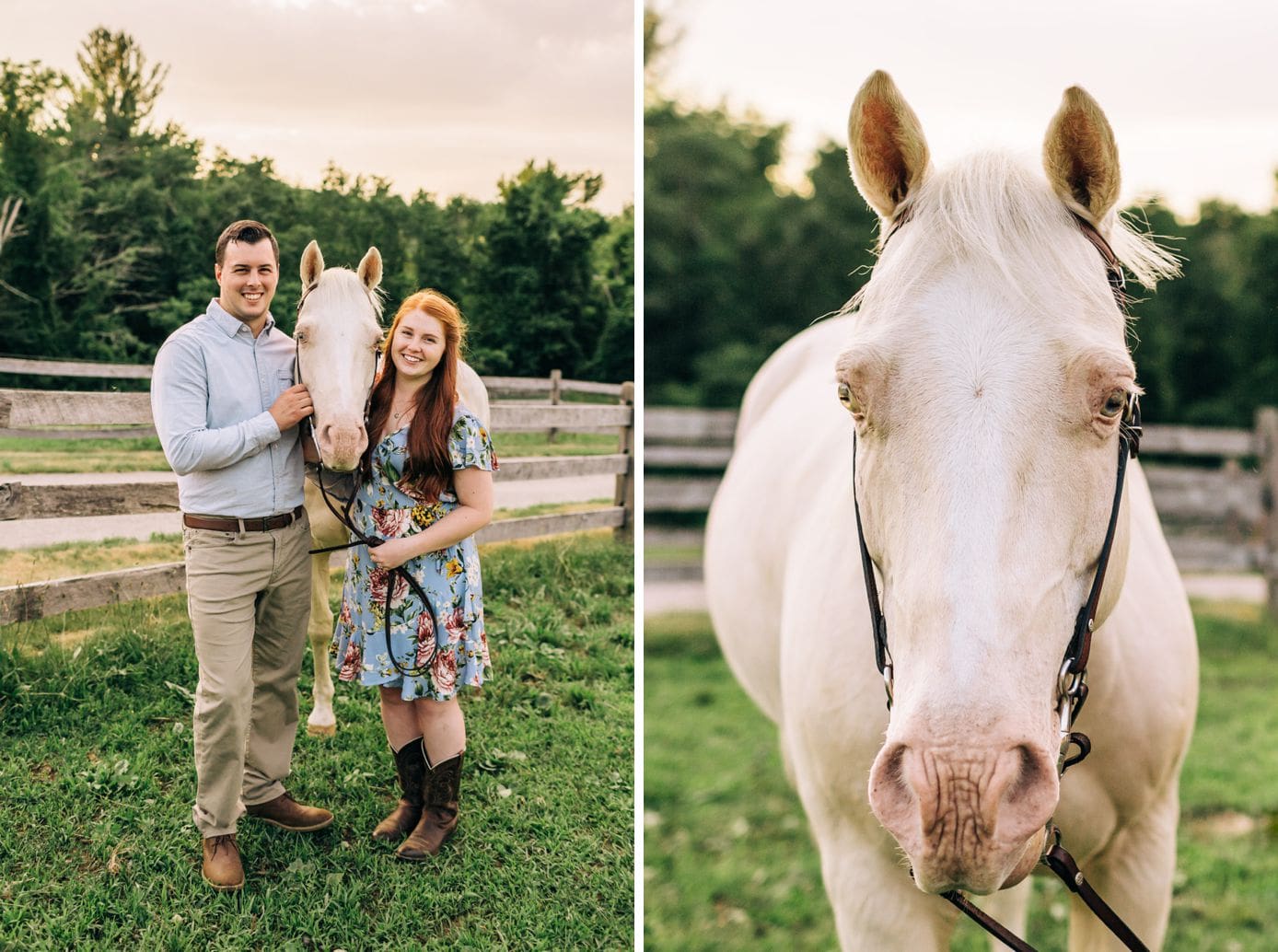 boston-horse-farm-engagement-photos