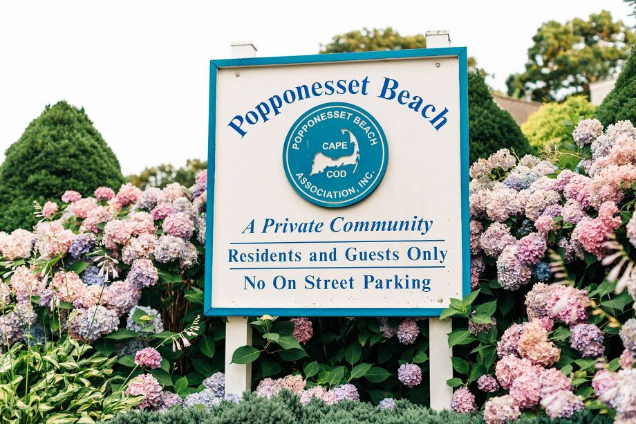 Popponesset_Beach_Hydrangeas